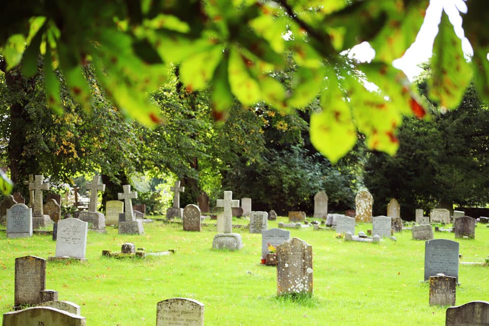 Friedhof Pflugfelden - Natur und Ruhe Aufnahme von mehreren Grabsteinen auf dem Friedhof Pflugfelden mit verschwommenen Blättern eines Baums im Vordergrund.