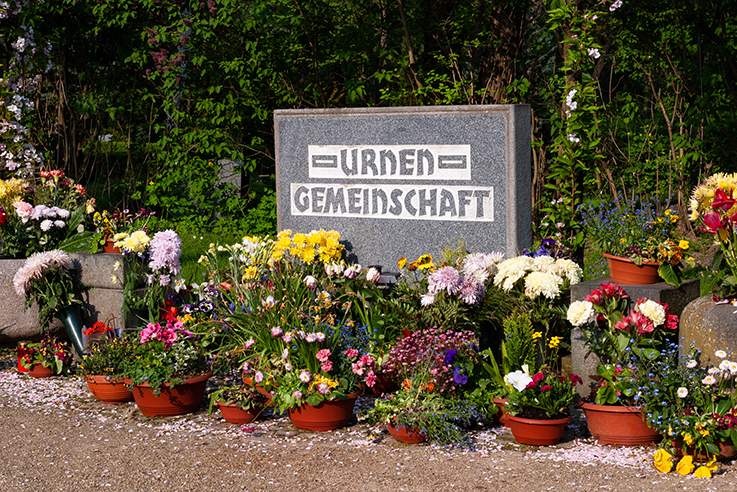 Gemeinschaftsgrab für Urnen mit liebevoller Blumendekoration Gepflegte Gemeinschaftsgrabstätte für Urnen, umgeben von zahlreichen bunten Blumen in Töpfen und Vasen.