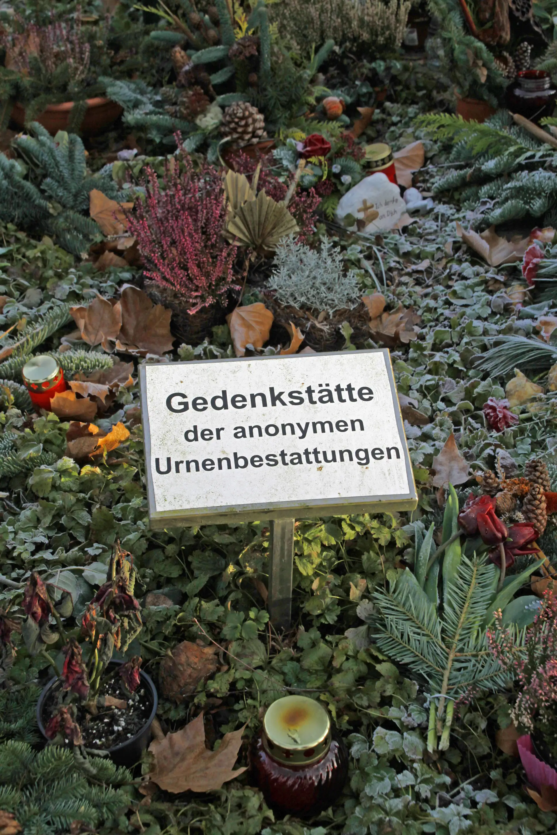 Anonyme Urnenbestattung – Gedenkstätte auf dem Friedhof in Asperg Grabstätte für anonyme Urnenbestattungen mit Pflanzen und Grablichtern