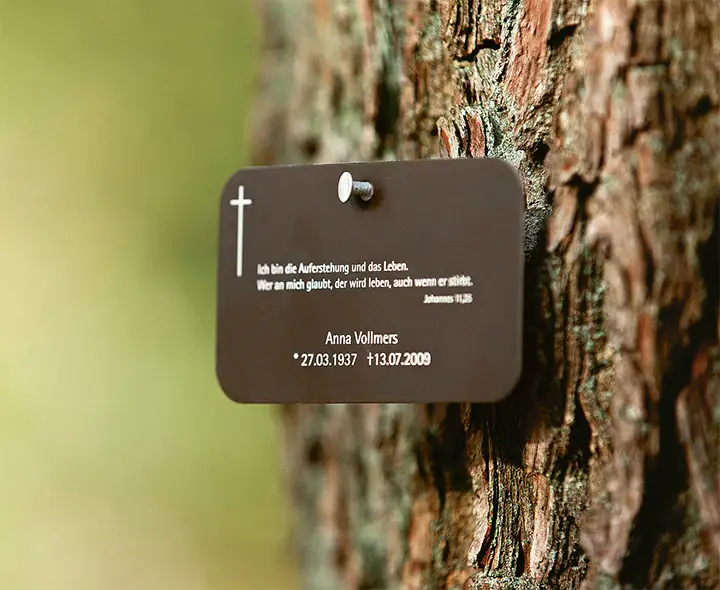 Gedenktafel bei Baumbestattung im FriedWald Gedenktafel an einem Baum im FriedWald mit Namen und Bibelvers Titel: Gedenktafel bei Baumbestattung im FriedWald Beschriftung: Gedenktafel für Anna Vollmers im FriedWald mit Bibelvers Johannes 11:25 Beschreibung: Eine Gedenktafel, befestigt an einem Baum im FriedWald, erinnert an Anna Vollmers. Diese Art der Kennzeichnung ist Teil der Baumbestattung, bei der die Asche des Verstorbenen an den Wurzeln eines Baumes beigesetzt wird. Kuhn Bestattungen begleitet diesen Prozess in Asperg, Möglingen und Ludwigsburg. Bilddatei Bezeichnung: gedenktafel-friedwald-baumbestattung-kuhn-bestattungen-asperg.jpg