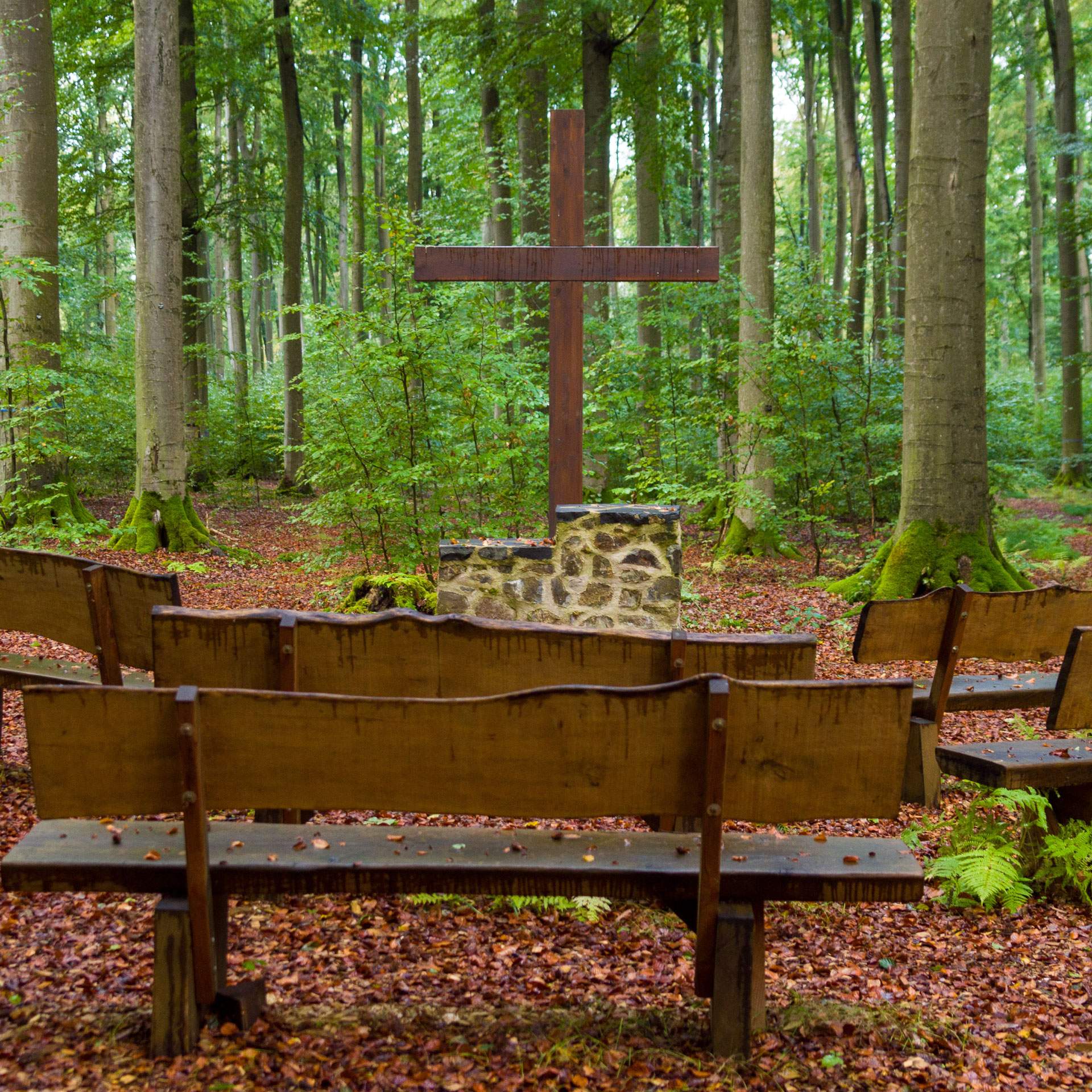 Waldbestattung – Kuhn Bestattungen Wald mit Kreuz und Sitzbänken für eine Waldbestattung, organisiert von Kuhn Bestattungen in Asperg, Möglingen und Ludwigsburg.